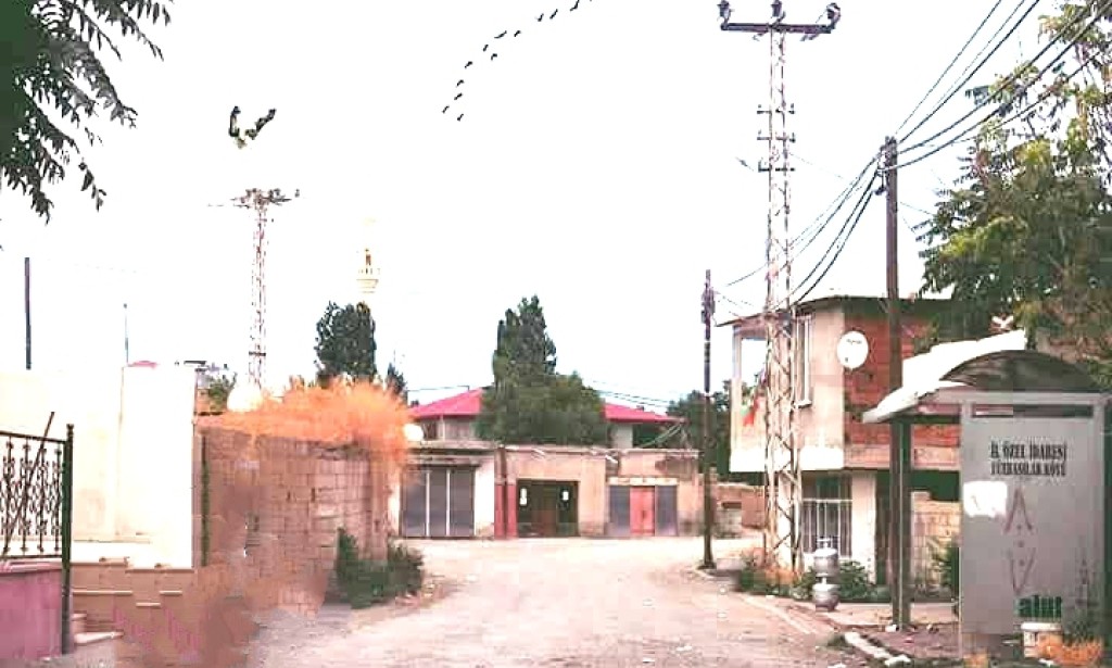 Yüzbaşılar Köyü’nde Sessiz Bir Kurban Bayramı: Göçün Ardında Bıraktığı Yalnızlık